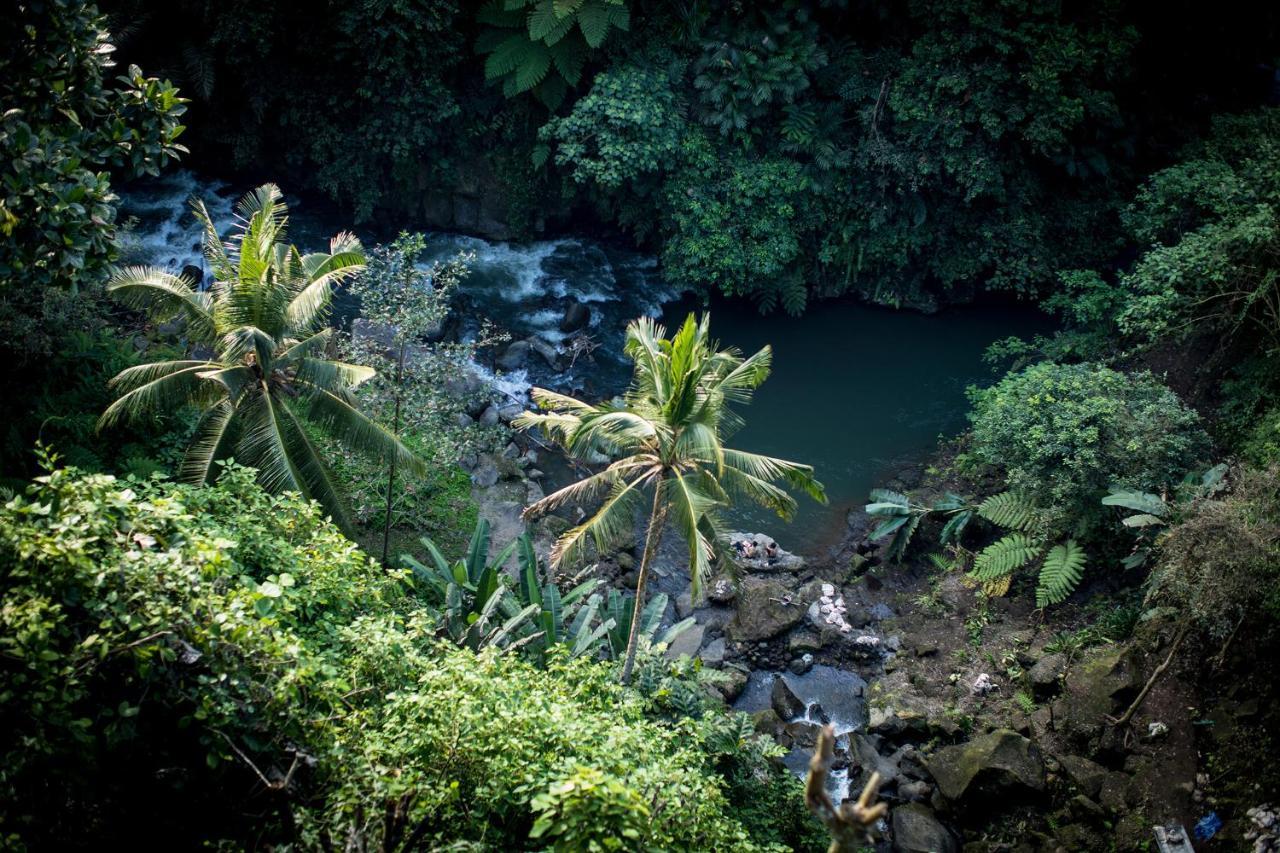 Villa Kalisat Resort Ubud Extérieur photo