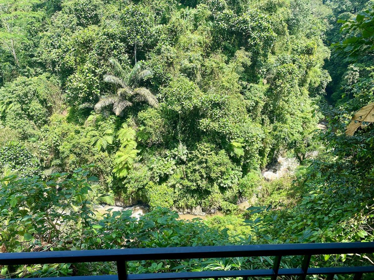 Villa Kalisat Resort Ubud Extérieur photo